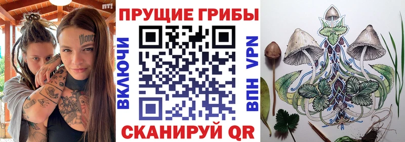 Псилоцибиновые грибы GOLDEN TEACHER  Хасавюрт 